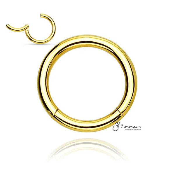 20 Gauge Hinged Segment Nose Hoop Rings-Silver | Gold