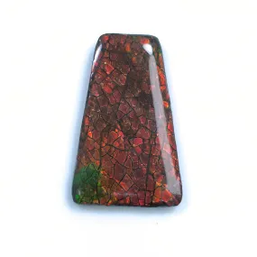 AMMOLITE Gemstone Cabochon : 43.20cts Natural Fossilized Shell Bi-Color Ammolite Trapezium Shape Cabochon 39*25mm (With Video)