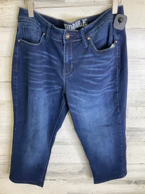 Blue Denim Capris Hydraulic, Size 10