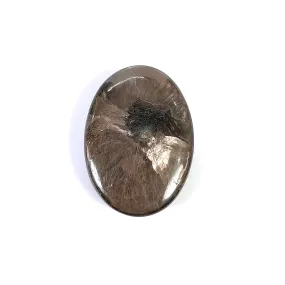 Golden Brown Chocolate SAPPHIRE Gemstone Cabochon TRAPICHE : 52.20cts Natural Untreated Sapphire Oval Shape 30*21mm (With Video)